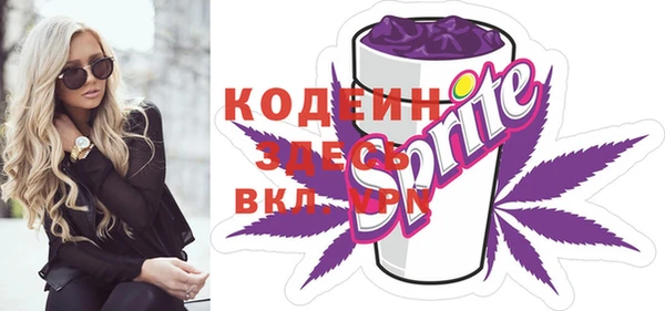 соль ск Арсеньев
