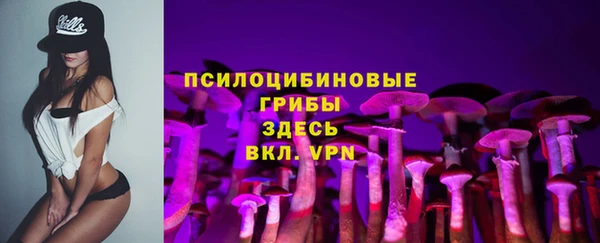 не бодяженный Аркадак