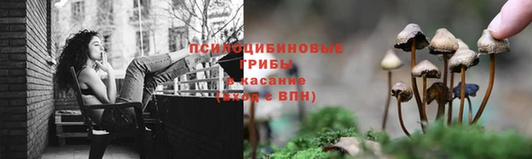 не бодяженный Аркадак