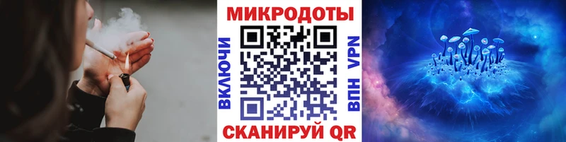 Купить закладки  Тайшет  Псилоцибиновые грибы MAGIC MUSHROOMS 